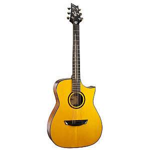 Cort LUXE-NAT LR BAGG EQ FRANK GAMBALE SIGNATURE Acoustic-Electric Guitar (with Case)